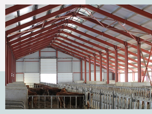 Строительство коровников в Нововоронеже