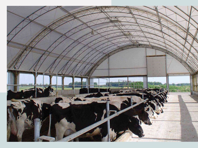 Тентовые коровники в Нововоронеже